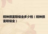 精神損害賠償金多少錢（精神損害賠償金）