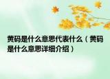 黃碼是什么意思代表什么（黃碼是什么意思詳細(xì)介紹）