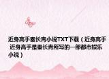 近身高手秦長(zhǎng)青小說(shuō)TXT下載（近身高手 近身高手是秦長(zhǎng)青所寫的一部都市娛樂(lè)小說(shuō)）