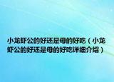 小龍蝦公的好還是母的好吃（小龍蝦公的好還是母的好吃詳細(xì)介紹）