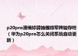 p20pro濡備綍鍏抽棴緋葷粺鏇存柊（華為p20pro怎么關(guān)閉系統(tǒng)自動(dòng)更新）