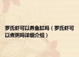 羅氏蝦可以養(yǎng)魚缸嗎（羅氏蝦可以煮粥嗎詳細(xì)介紹）