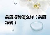 美度墻磚怎么樣（美度凈磚）