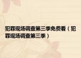 犯罪現(xiàn)場調(diào)查第三季免費看（犯罪現(xiàn)場調(diào)查第三季）