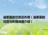 油菜苗的功效及作用（油菜苗的功效與作用詳細(xì)介紹）