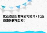比亞迪股份有限公司簡(jiǎn)介（比亞迪股份有限公司）