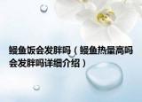 鰻魚飯會發(fā)胖嗎（鰻魚熱量高嗎會發(fā)胖嗎詳細介紹）