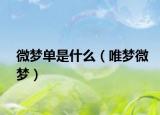 微夢單是什么（唯夢微夢）