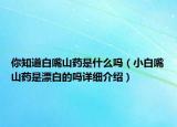 你知道白嘴山藥是什么嗎（小白嘴山藥是漂白的嗎詳細(xì)介紹）