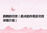 肩髃的功效（肩貞的作用及功效詳細(xì)介紹）