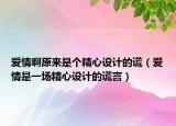 愛情啊原來是個精心設(shè)計的謊（愛情是一場精心設(shè)計的謊言）