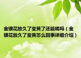 金銀花放久了變黃了還能喝嗎（金銀花放久了變黃怎么回事詳細介紹）