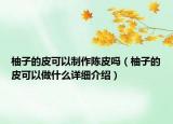 柚子的皮可以制作陳皮嗎（柚子的皮可以做什么詳細(xì)介紹）