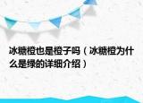 冰糖橙也是橙子嗎（冰糖橙為什么是綠的詳細(xì)介紹）