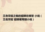 王者榮耀之我的貂蟬在哪里 小說（王者榮耀 貂蟬著網(wǎng)絡小說）