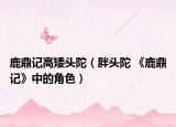 鹿鼎記高矮頭陀（胖頭陀 《鹿鼎記》中的角色）