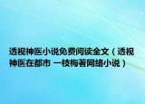 透視神醫(yī)小說免費閱讀全文（透視神醫(yī)在都市 一枝梅著網絡小說）