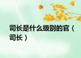 司長是什么級別的官（司長）