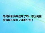 如何判斷海帶結(jié)壞了嗎（怎么判斷海帶是不是壞了詳細介紹）