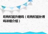 吃枸杞能升糖嗎（吃枸杞能補腎嗎詳細介紹）