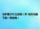 馬驢屬于什么動物（驢 馬科馬屬下的一種動物）