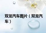 雙龍汽車圖片（雙龍汽車）