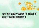 海參煮不軟是什么原因?（海參煮不軟是什么原因詳細(xì)介紹）