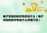 柚子里面的膠狀物質(zhì)是什么（柚子里面的膠狀物是什么詳細(xì)介紹）