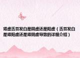 腎虛舌苔發(fā)白是陰虛還是陽虛（舌苔發(fā)白是腎陽虛還是腎陰虛導(dǎo)致的詳細介紹）