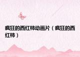 瘋狂的西紅柿動(dòng)畫片（瘋狂的西紅柿）