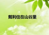 戴利住在山谷里