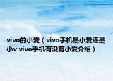 vivo的小愛（vivo手機(jī)是小愛還是小v vivo手機(jī)有沒有小愛介紹）