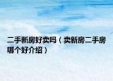二手新房好賣嗎（賣新房二手房哪個好介紹）