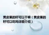 黃皮果的籽可以干嘛（黃皮果的籽可以吃嗎詳細(xì)介紹）