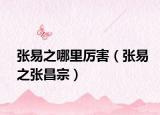 張易之哪里厲害（張易之張昌宗）