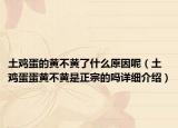 土雞蛋的黃不黃了什么原因呢（土雞蛋蛋黃不黃是正宗的嗎詳細(xì)介紹）