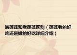 嫩蓮蓬和老蓮蓬區(qū)別（蓮蓬老的好吃還是嫩的好吃詳細(xì)介紹）