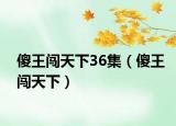 傻王闖天下36集（傻王闖天下）