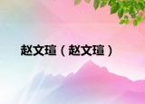趙文瑄（趙文瑄）