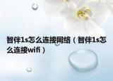 智伴1s怎么連接網(wǎng)絡（智伴1s怎么連接wifi）