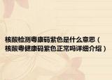 核酸檢測粵康碼紫色是什么意思（核酸粵健康碼紫色正常嗎詳細介紹）