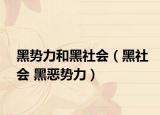 黑勢(shì)力和黑社會(huì)（黑社會(huì) 黑惡勢(shì)力）