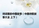 詩詞里的中國故事（中國詩歌故事大全 上下）