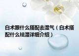 白術(shù)跟什么搭配去濕氣（白術(shù)搭配什么祛濕詳細介紹）