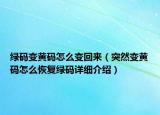 綠碼變黃碼怎么變回來（突然變黃碼怎么恢復(fù)綠碼詳細(xì)介紹）