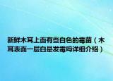新鮮木耳上面有些白色的霉菌（木耳表面一層白是發(fā)霉嗎詳細(xì)介紹）