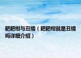 耙耙柑與丑橘（耙耙柑就是丑橘嗎詳細介紹）