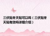 三伏貼冬天貼可以嗎（三伏貼冬天貼有效嗎詳細(xì)介紹）