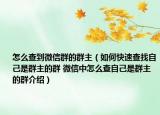 怎么查到微信群的群主（如何快速查找自己是群主的群 微信中怎么查自己是群主的群介紹）