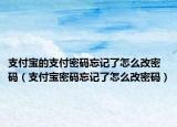 支付寶的支付密碼忘記了怎么改密碼（支付寶密碼忘記了怎么改密碼）